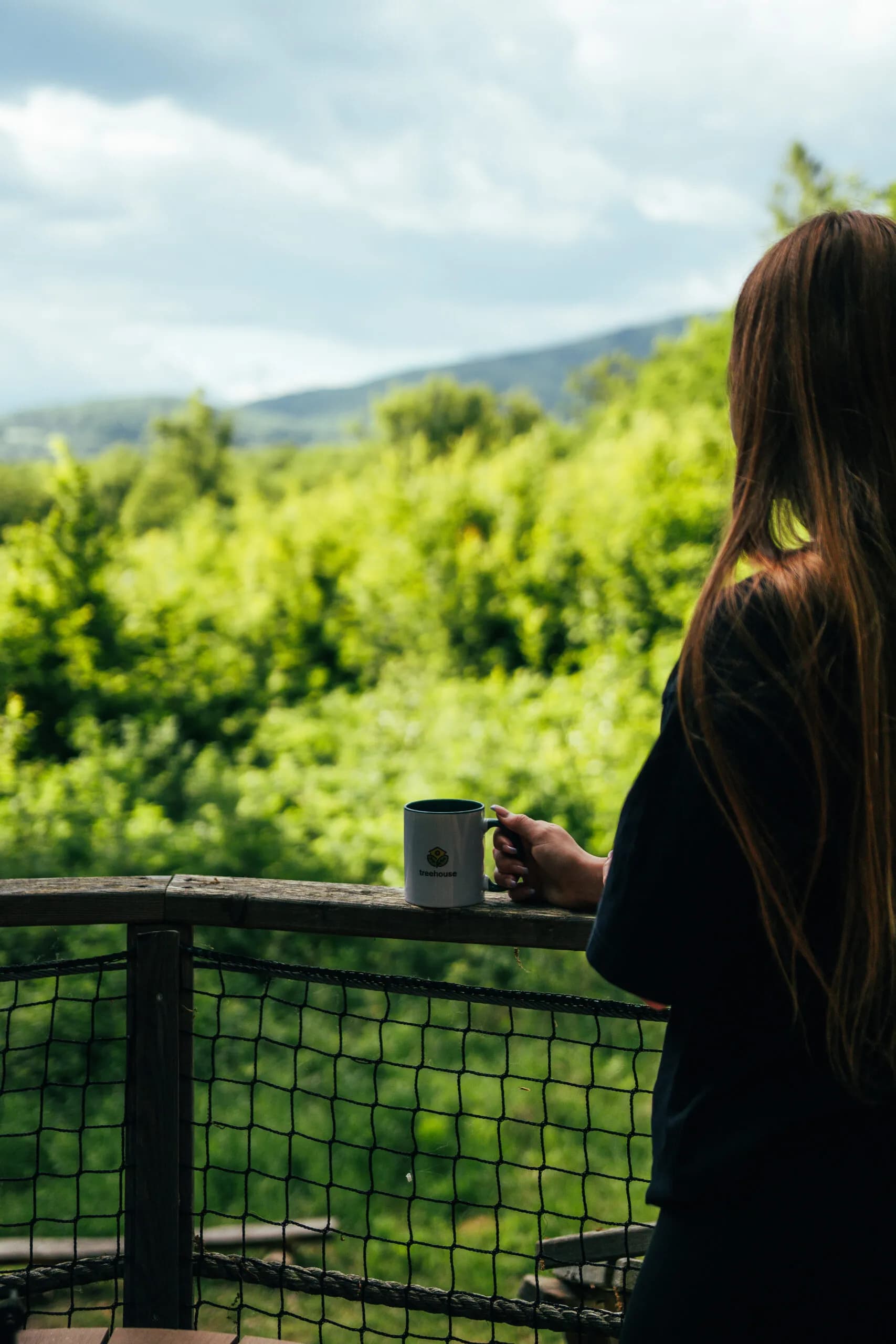 Tree house III. – image 2