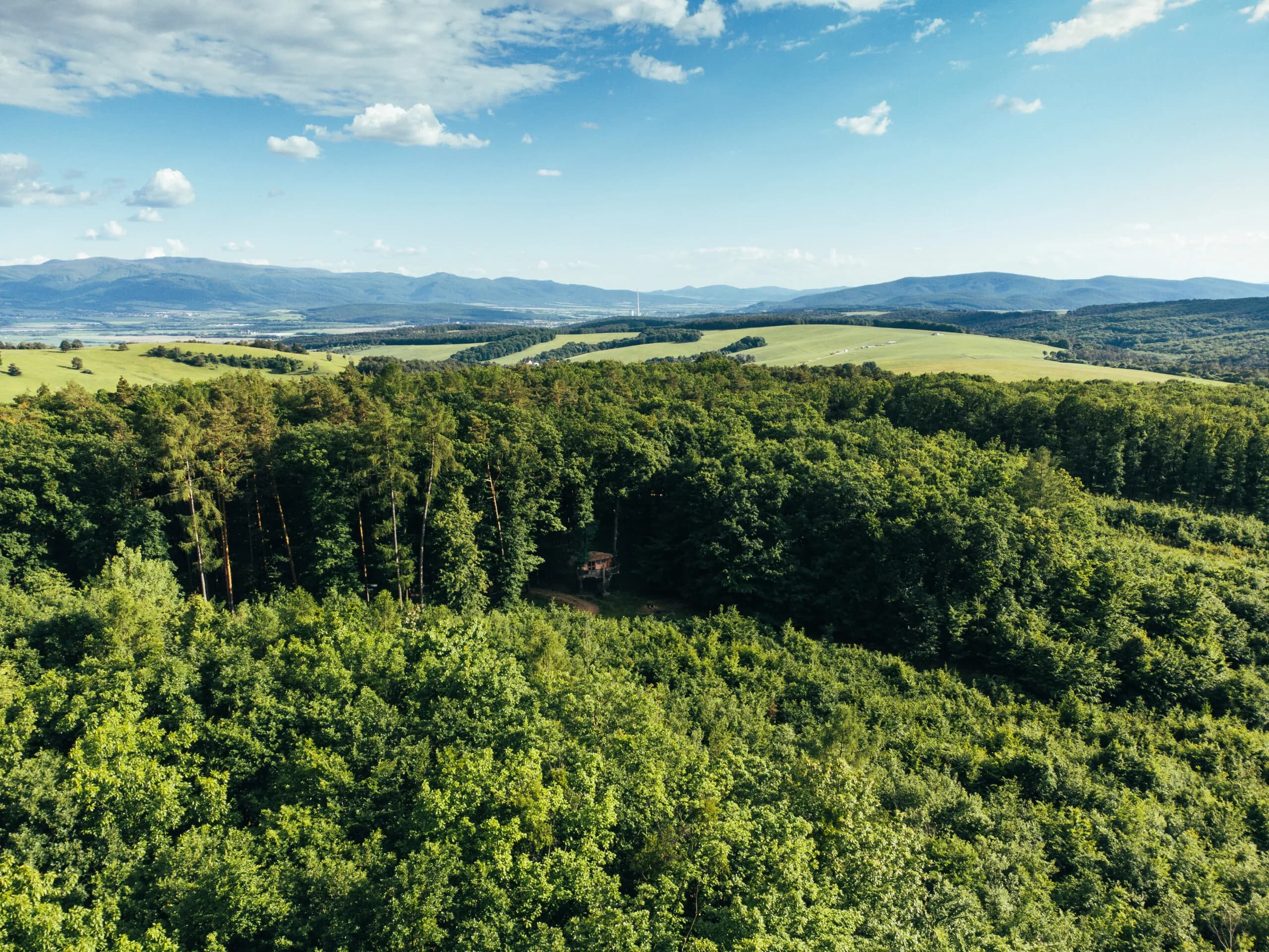 Tree house III. – image 3