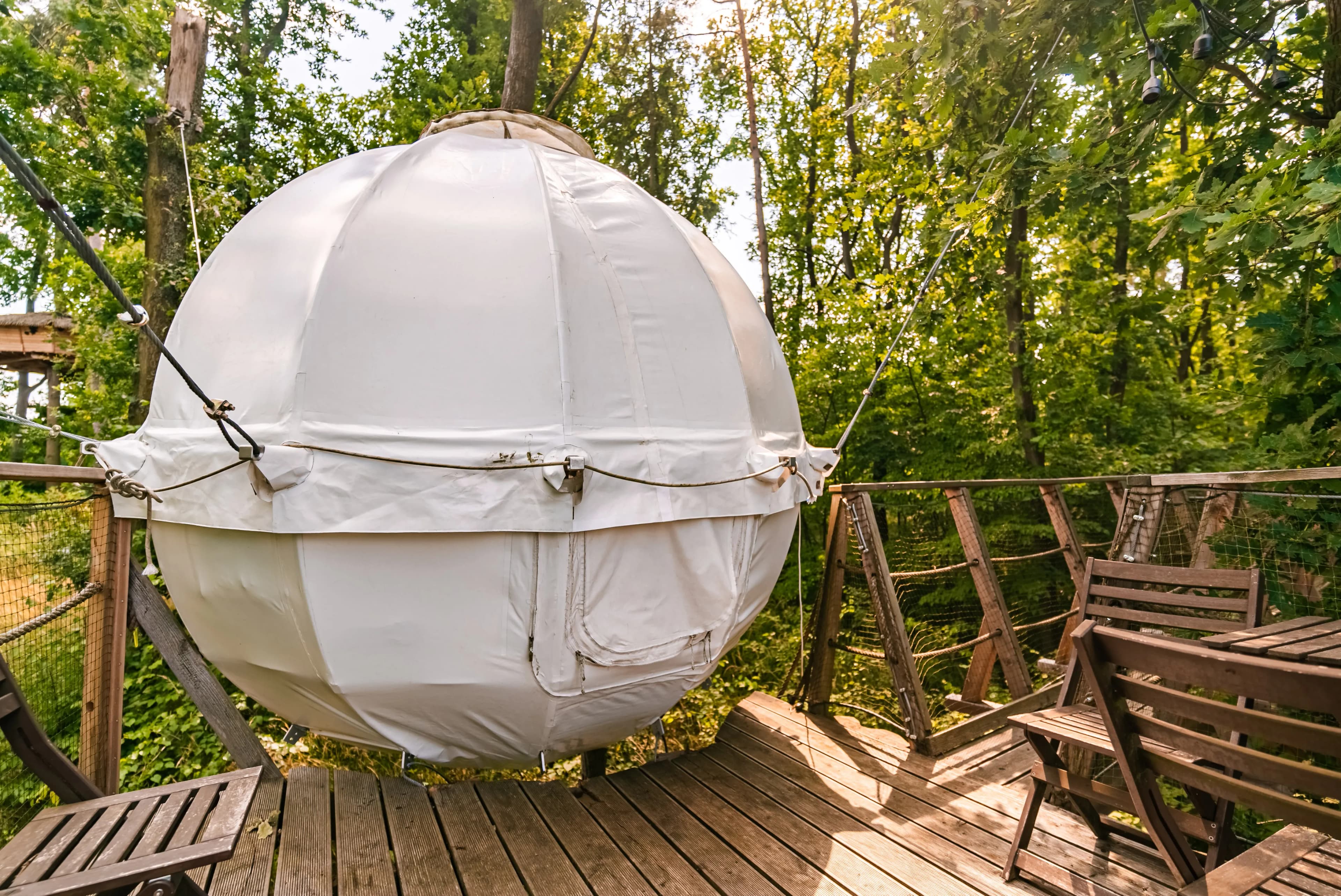 Cocoon Tree Bed & Spa – image 2