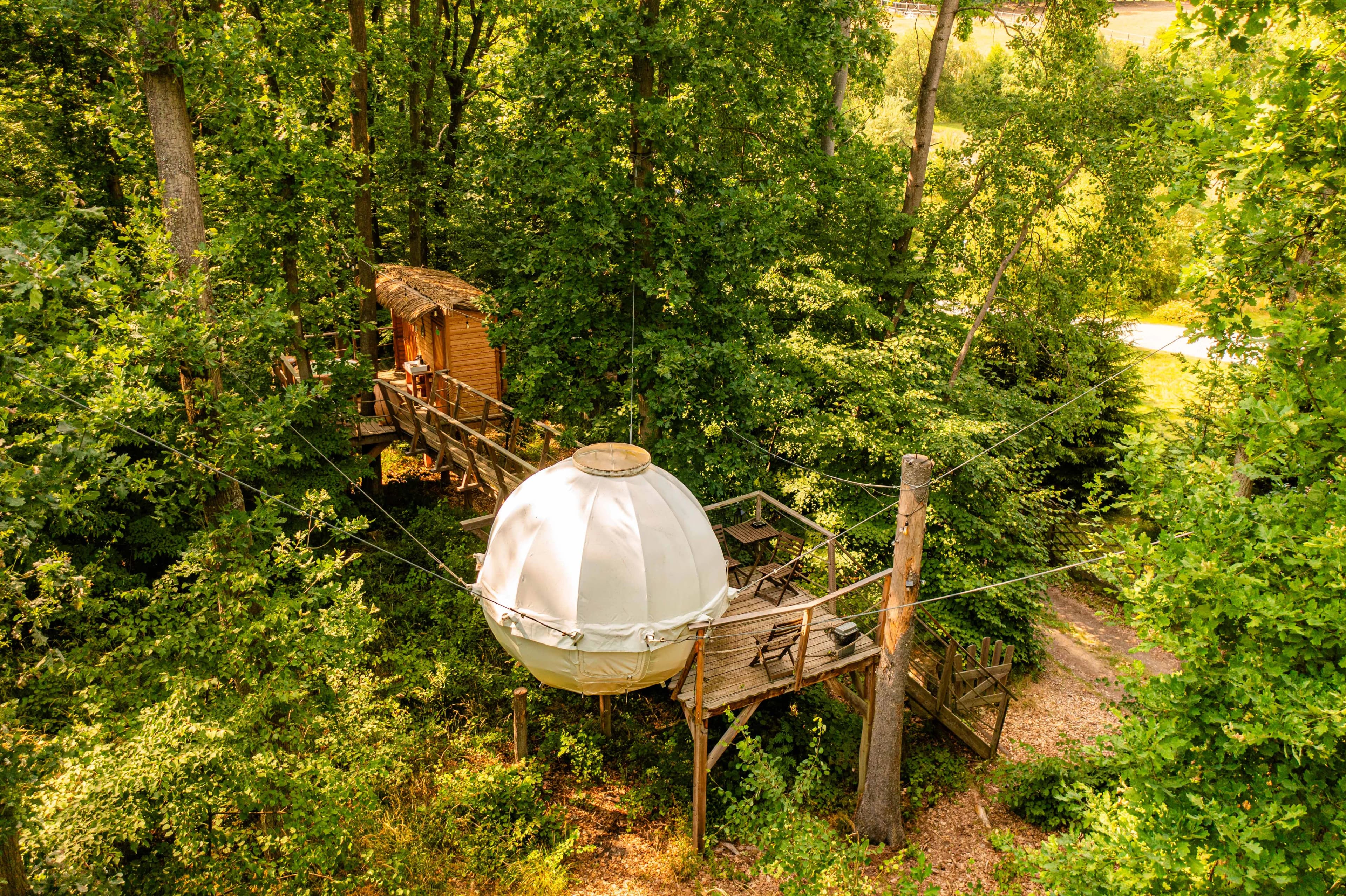Cocoon Tree Bed & Spa