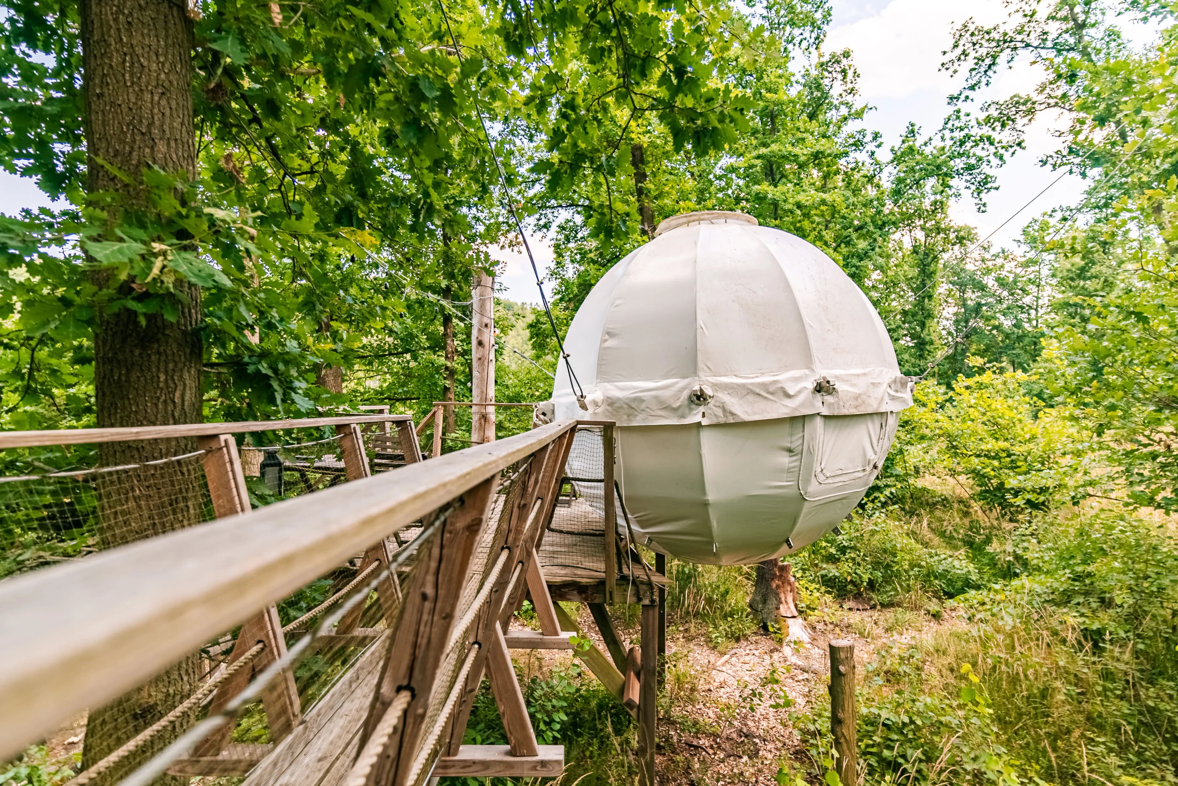 Cocoon Tree Bed & Spa – image 3