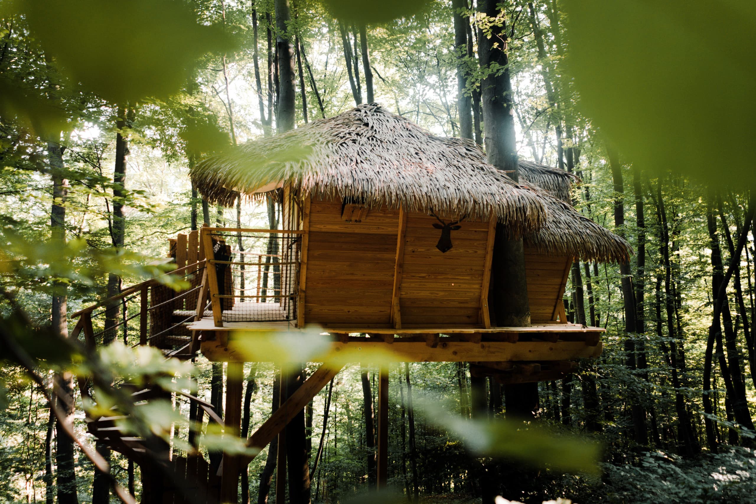 Jak se připravit na glamping?